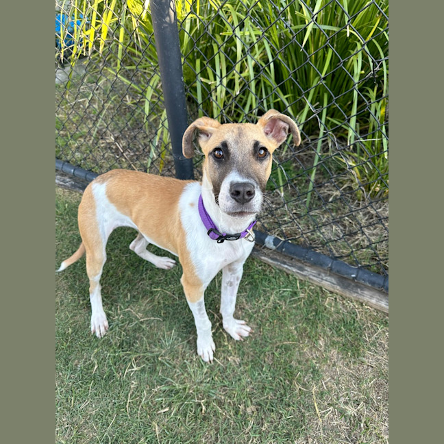 Photo of Elsie