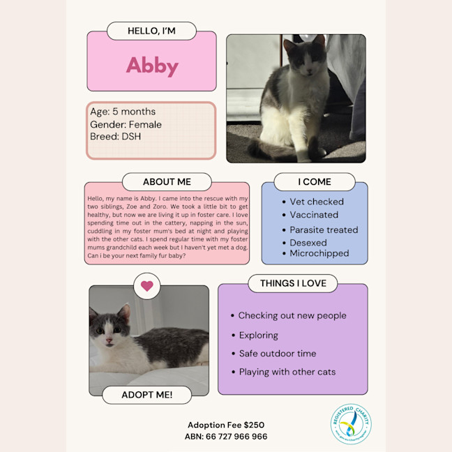 Photo of Abby