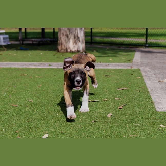 Photo of Chucklesworth