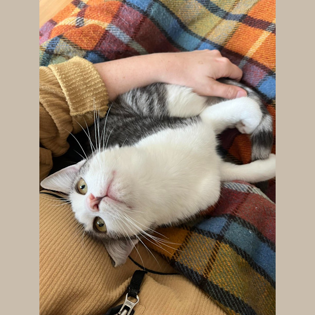 Photo of Annie