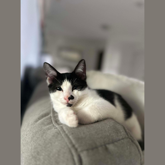 Photo of Katara