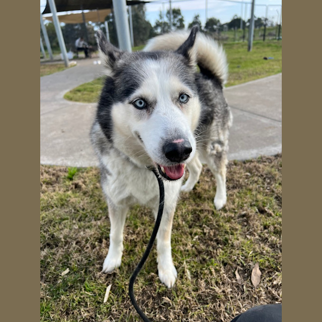 Photo of Storm
