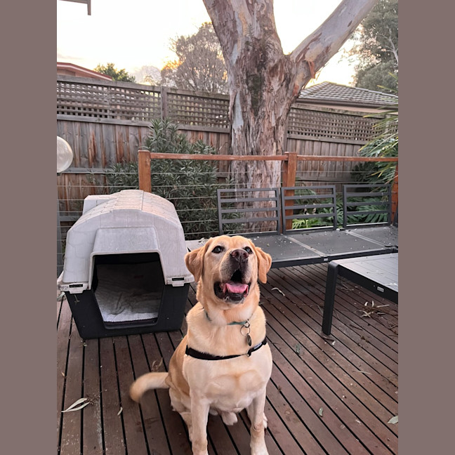 Photo of Arlo