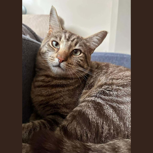 Photo of Tilly