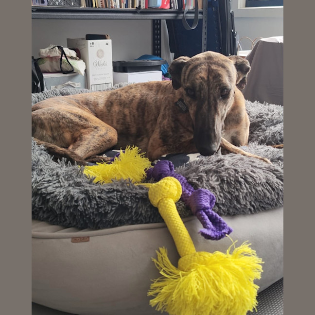 Photo of Hugo