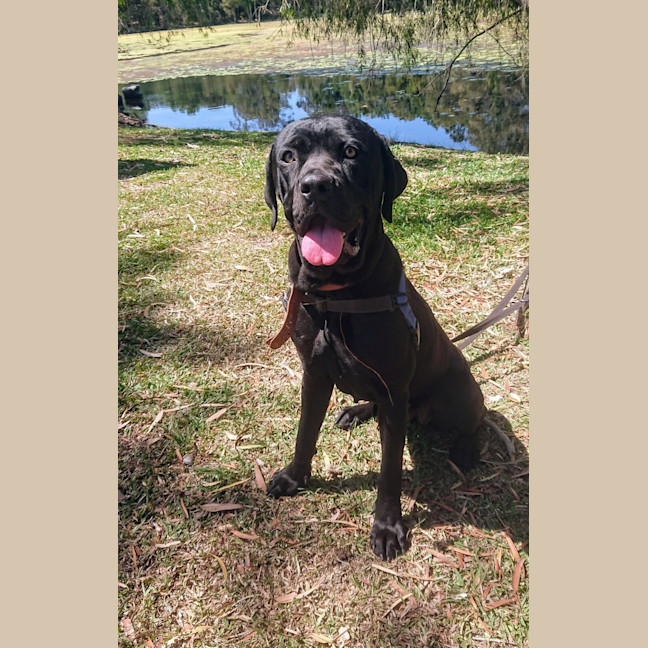 Photo of Calypso