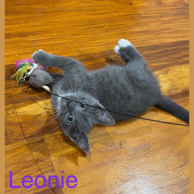 Photo of Leonie❤️