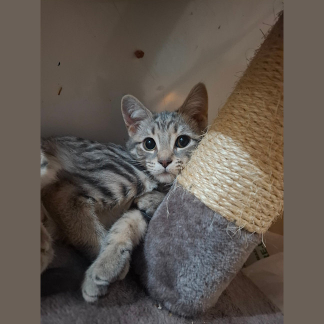 Photo of Jodie 