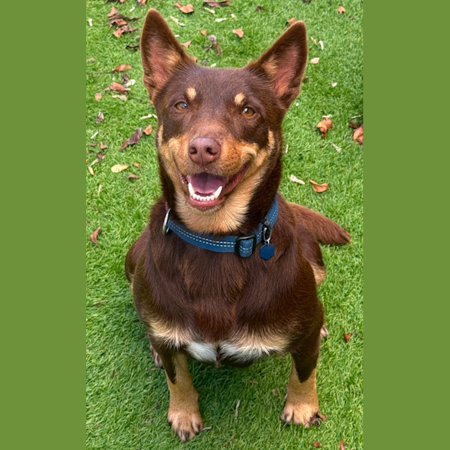 Photo of Hershey