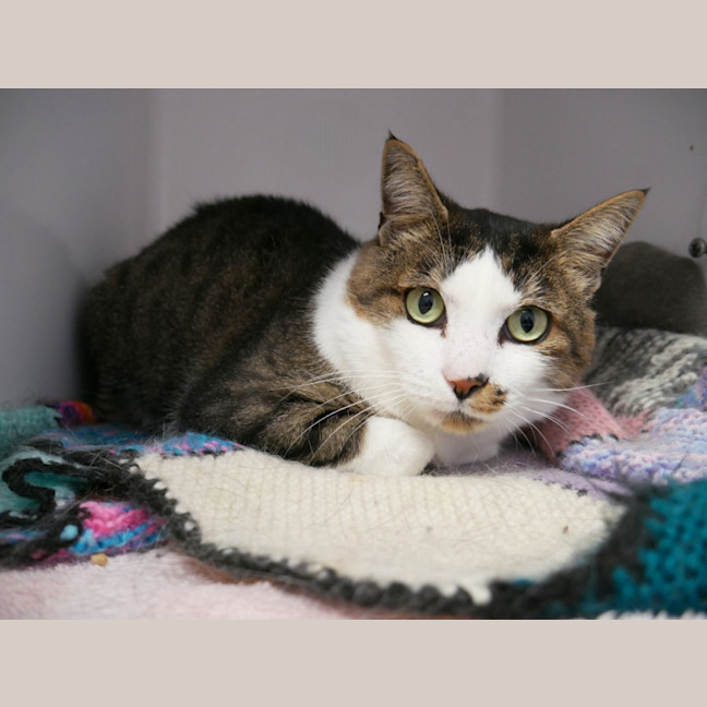 Photo of Ben Sta012850