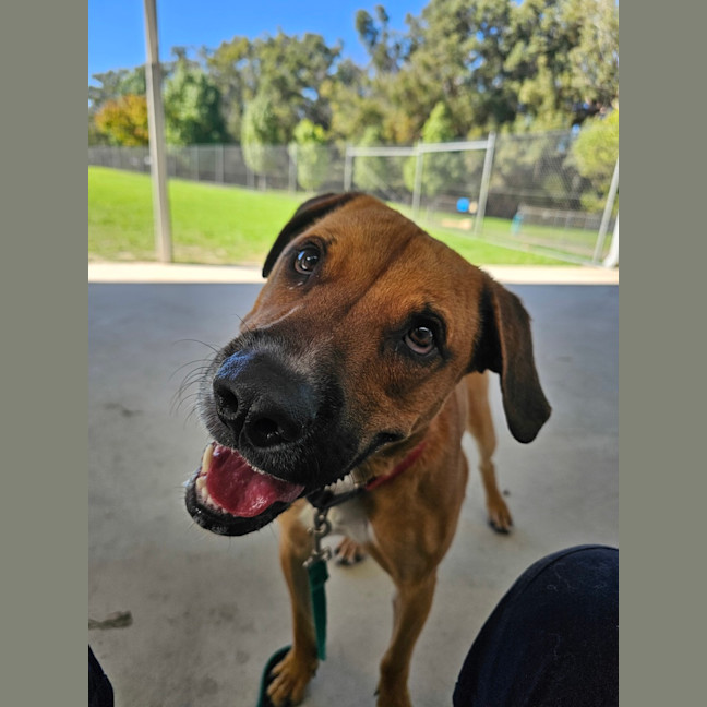 Photo of Taco