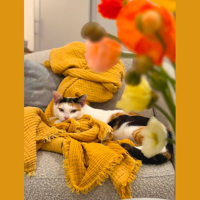 Photo of Sophia
