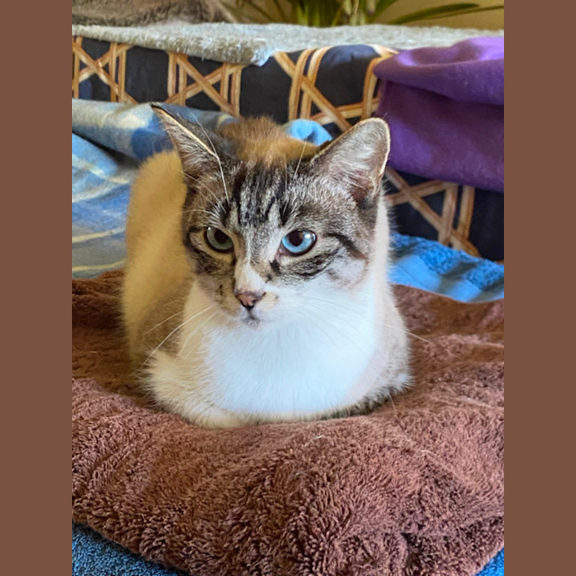 Photo of Missy