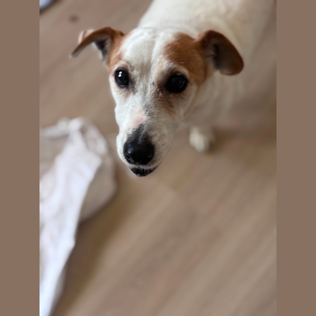 Photo of Choppa And Tiara