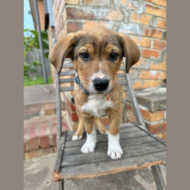 Photo of Fry