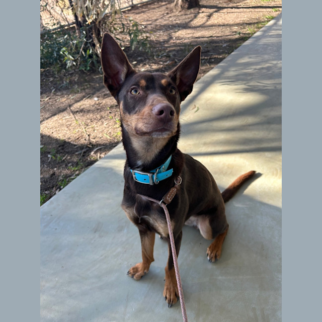 Photo of Winnie Harlow