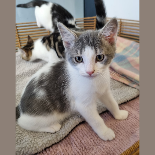 Photo of Mr Percival