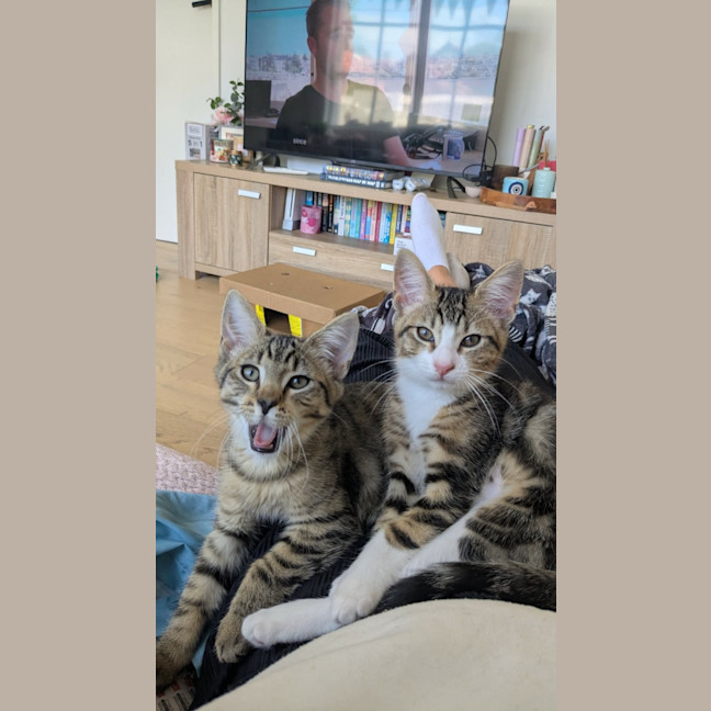 Photo of Bertie & Bolt 