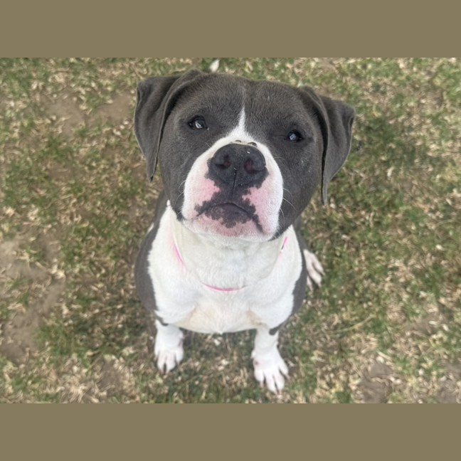 Photo of Xena Imp 2431