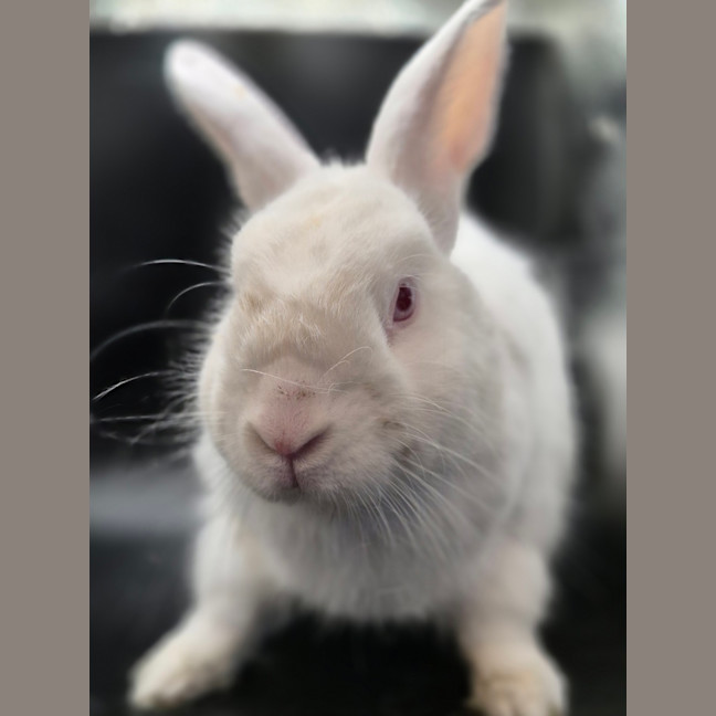 Photo of Sookie Lala Larry