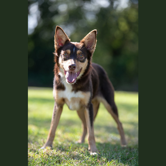 Photo of Ruby