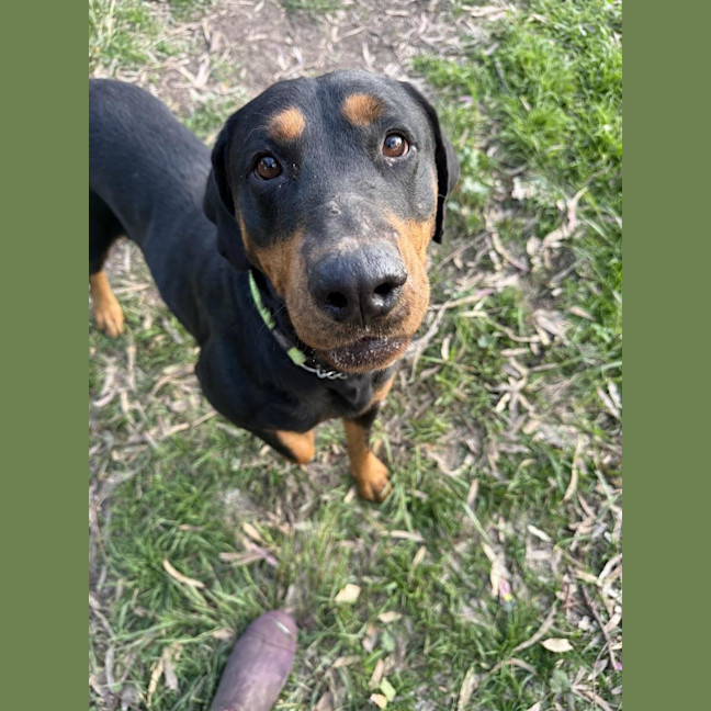 Photo of Annie