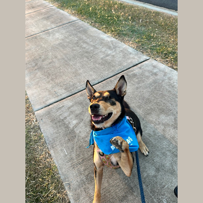 Photo of Blossom
