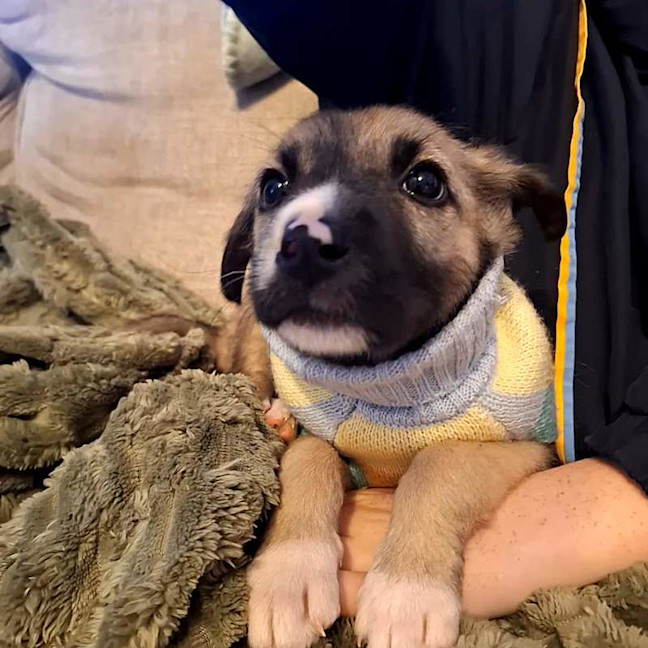 Photo of Scottie
