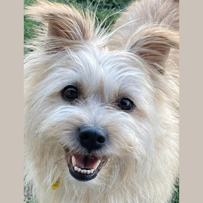 Photo of Milly
