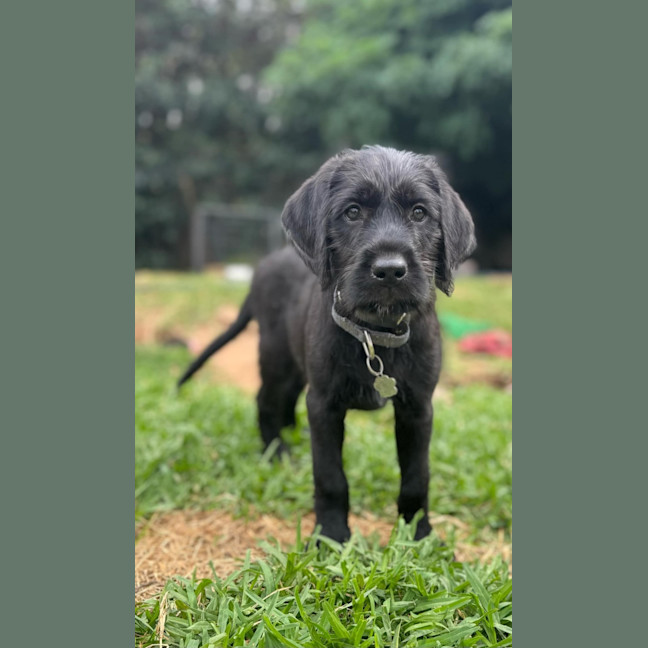 Photo of Buffy