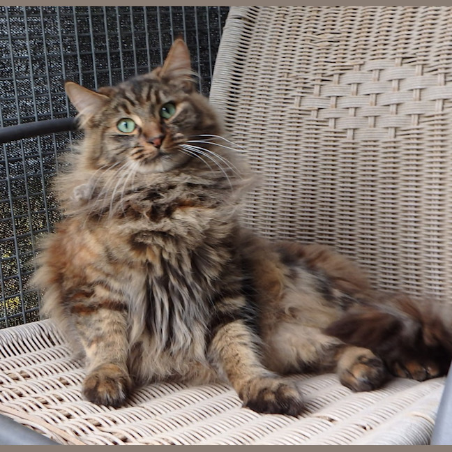 Photo of Fleur And Sky