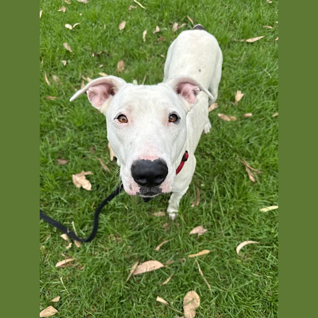 Photo of Wally