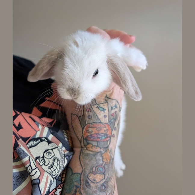 Photo of Cloud / Misty