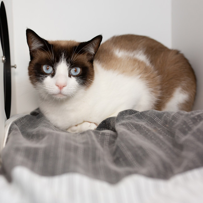 Photo of Junior