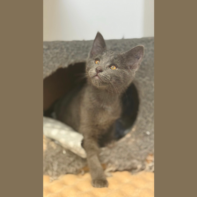 Photo of Wiggles