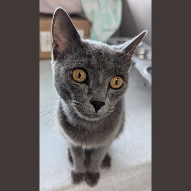 Photo of Hitch