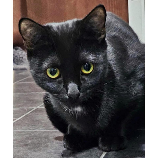 Photo of 11978   Emmy