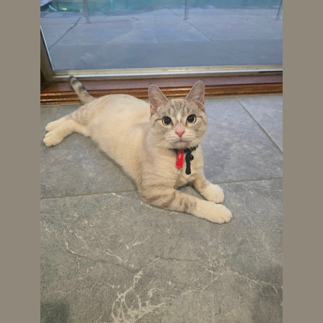 Photo of Herbie