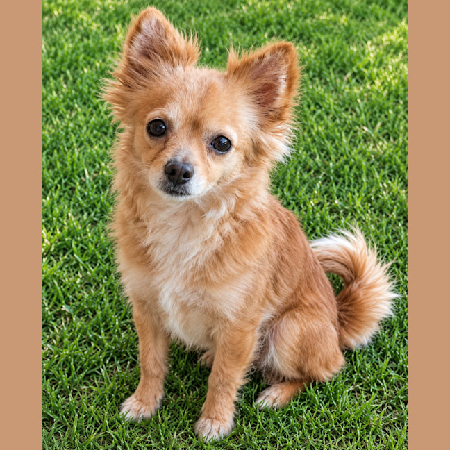 Photo of Holly 