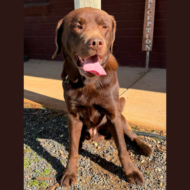 Photo of Duke