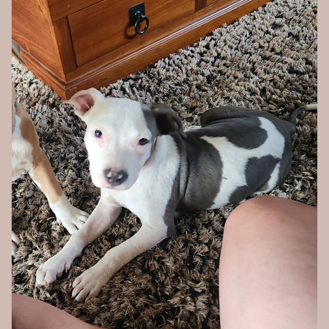 Photo of Solar (67646)