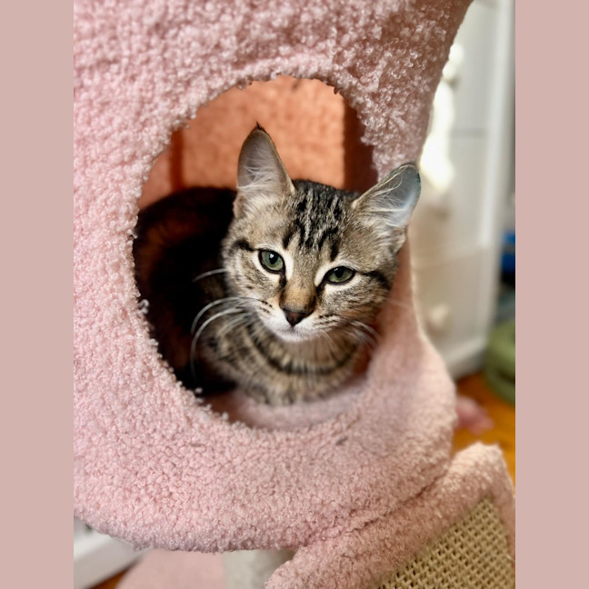 Photo of Winnie