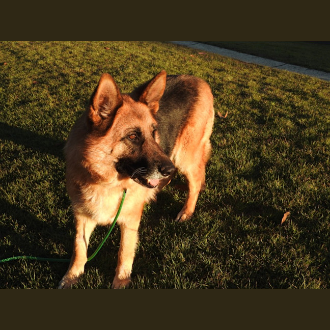 Photo of Molly