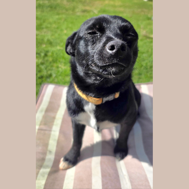 Photo of Scott (Turbo)