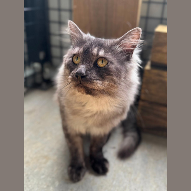 Photo of Ghost 
