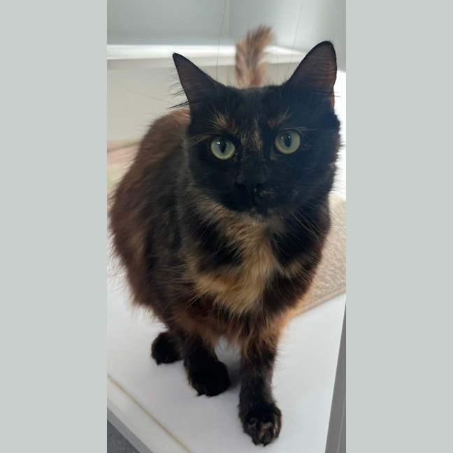 Photo of Isobel