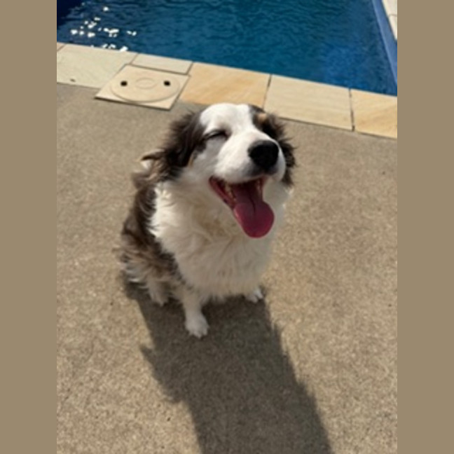 Photo of Bella 