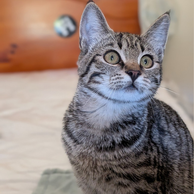 Photo of Lola