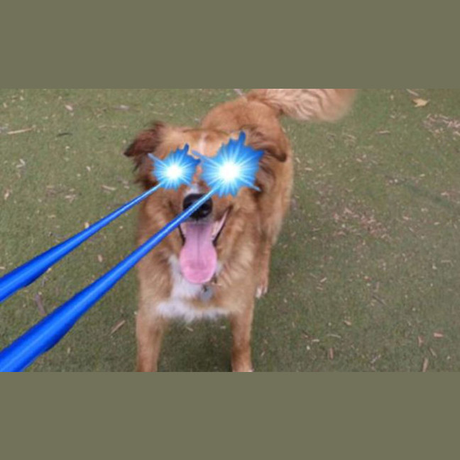 Photo of Rocket