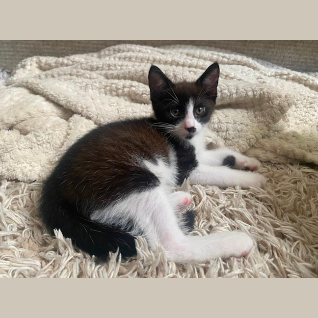 Photo of Lucy